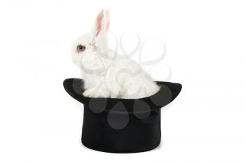 Little rabbit at magic hat isolated on a white background
