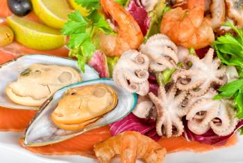 Royalty Free Photo of a Seafood Appetizer