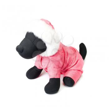 Dogs clothing at the dummy isolated on a white