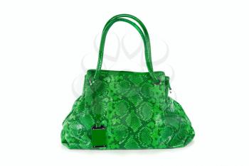 green women bag, fashion of 2011 year isolated on white background
