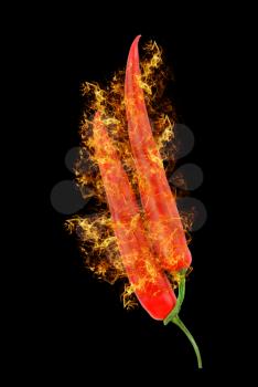 Royalty Free Photo of Red Hot Chili Peppers
