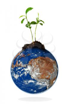 Baby plant growing from the earth over a white background.
Data source: nasa.