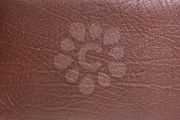 Natural qualitative leather texture. Close up.