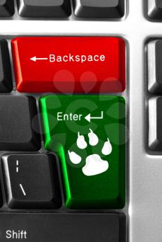 Computer keyboard concept, with Animal trace key