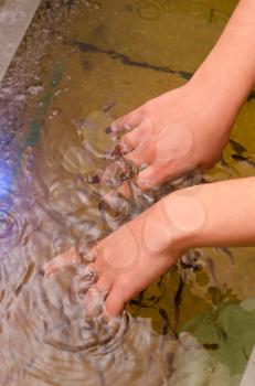 Fish therapy for skin of hand at spa