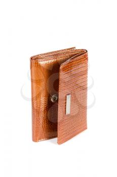 Modern brown female wallet isolated on white background