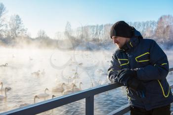 Man at winter nonfreezing lake with white whooping swans. The place of wintering of swans, Altay, Siberia, Russia.