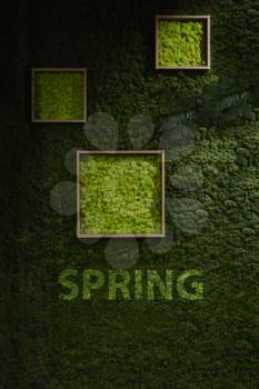 Dark green moss spring wall background