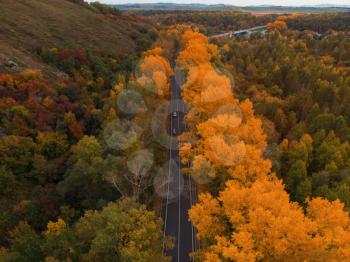 Aerial view of road in beautiful autumn altai forest. Beautiful landscape with empty rural road, golen autumn in altai: trees with red, yellow and orange leaves.