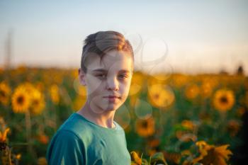Portrait of beautiful blond kid boy on summer sunflower field outdoors. Cute school child having fun on warm summer evening at sunset.
