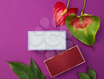 Makeup cosmetic products on vivid color background, flat lay top view.