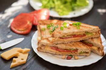Cheese sandwich with tomato and green lettuce