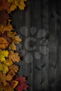 Wood autumn background with free space for design