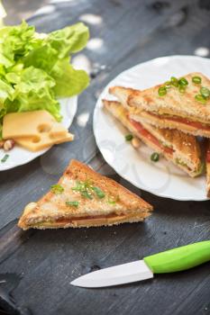 Cheese sandwich with tomato and green lettuce