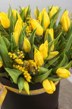 Bright spring bouquet of tulips and mimosa flowers. Mother's Day or Easter theme.