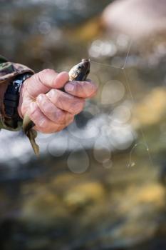 Fisherman holding caught grayling at the altai mountain river background