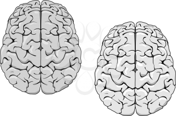 Royalty Free Clipart Image of the Human Brain