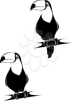 Royalty Free Clipart Image of Toucans