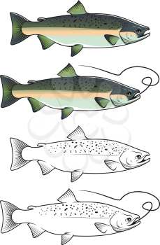 Chum salmon fish in color and w/b versions for fishing design