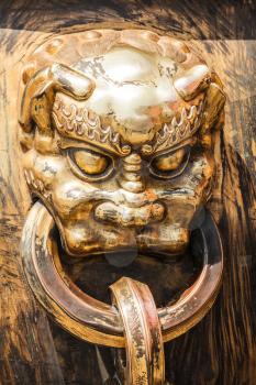 Gilded bronze head of dragon or lion with ring in mouth. Old handle of big vat for water in case of fire in ancient chinese palace