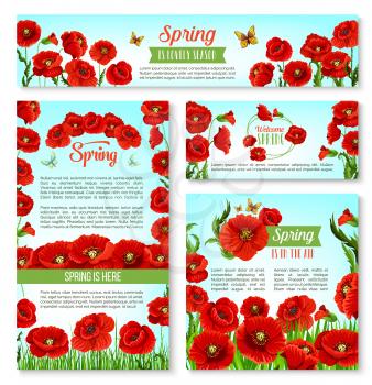 Welcome Spring banner and card template set. Spring flower field with green grass and butterfly greeting poster, decorated by poppy flower frame border and floral wreath with ribbon banner