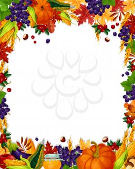 Autumn poster with blank space for greeting card or sale design. Vector frame of leaves foliage, berries or fruits and oak acorns, rowan berry, pumpkin or corn and mushroom autumn vegetable harvest