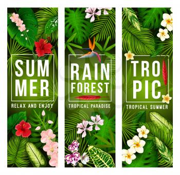 Tropical palm leaf and exotic jungle flower banner for summer holiday and beach vacation design. Hawaiian tree foliage of monstera and fern, hibiscus, orchid, plumeria and strelitzia floral poster