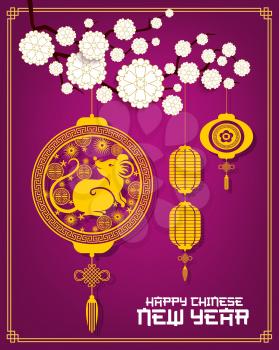Chinese lanterns with Lunar New Year rat vector design. Golden mouse symbol of China animal zodiac with papercut pattern of coins and flowers, Asian paper lamps with blooming plum branch, endless knot
