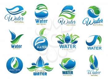 Water splash or drop and green leaf icons of natural or mineral drinking water. Vector blue waterdrops and nature plant symbols. Environment, bottle package or company identity theme