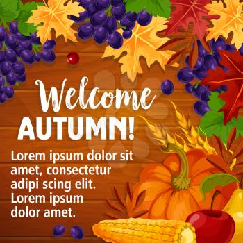 Welcome Autumn poster of fall harvest and seasonal foliage on wooden background. Vector pumpkin, grape fruit and rowan or cherry berry on maple leaf, autumn oak acorn and wheat in falling leaves