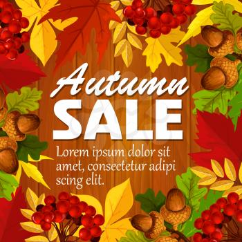 Autumn sale poster or web banner template for seasonal shopping discount promo. Vector design of maple or chestnut and poplar leaf, oak acorn or rowan berry and autumn birch foliage on wood background