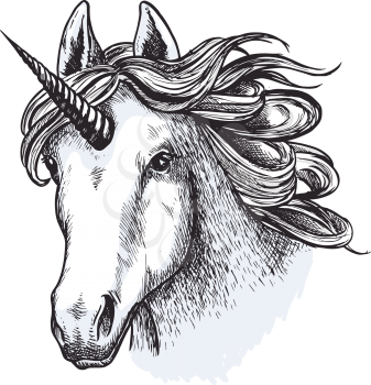 Unicorn head or muzzle sketch design of magic and mystic horse. Fairy tale horse with horn and waving mane for equine sport or equestrian races and contest exhibition. Vector isolated icon