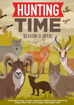 Hunting open season and hunter hunt adventure poster. Vector wild forest animals and birds, wolf or fox and ermine or mink, lynx with ducks or mountain sheep and African Safari gazelle