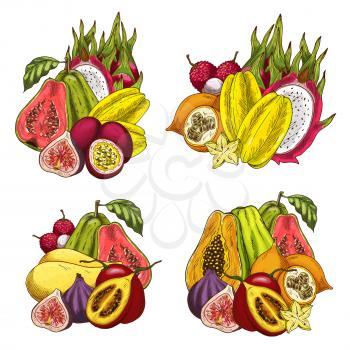 Exotic fruit bundle sketch of tropical farm product. Papaya, mango and fig, dragon fruit, carambola and guava, passion fruit, lychee and tamarillo isolated icon for food and juice drink menu design
