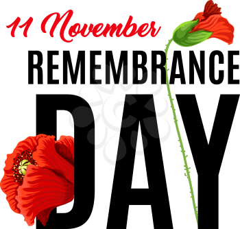 Remembrance day 11 of November also known as Poppy Day. Honoring memory of British soldiers and British Commonwealth. Memory of soldiers killed in the First World War. Poppy flower as Remembrance day symbol