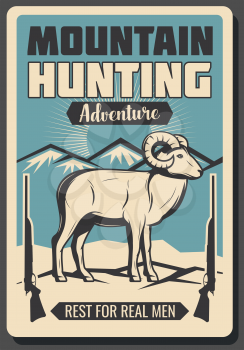 Mountain sheep hunting retro poster for real hunter adventure or hunt open season club. Vector vintage design of wild animal in snow Alps and hunter rifle guns or carbines