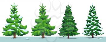 Christmas tree with snow. Vector green pine, fir and spruce trees with snowy branches in winter forest, isolated on white. Xmas and New Year holidays design