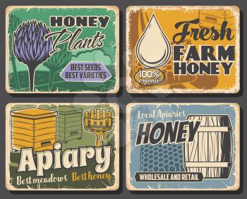 Honey of beekeeping farm, apiary honeycombs and beehives, vector food. Bee plants, clover flower nectar, wooden hives, barrel and dipper with honey drops, apiculture retro posters