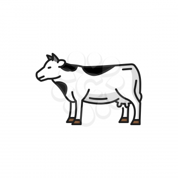 Cow livestock animal isolated spotted beef bovnie isolated flat line icon. Vector beef or veal meat cattle, dairy milk products source, heifer spotted animal with small horns, ranch farm calf portrait