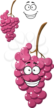 Bunch of tasty purple cartoon grapes with a happy laughing face; vector illustration isolated on white