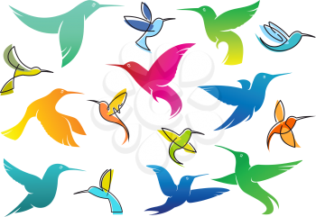 Colorful silhouettes of flying hummingbird birds isolated on white suitable for logo or wildlife design