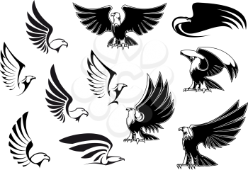 Eagle silhouettes showing flying and standing birds with outstretched wings in outline sketch style for logo, tattoo or heraldic design