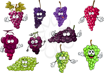 Sweet juicy bunches of purple, green and red grape fruits cartoon characters with grape vines and leaves. For agriculture design