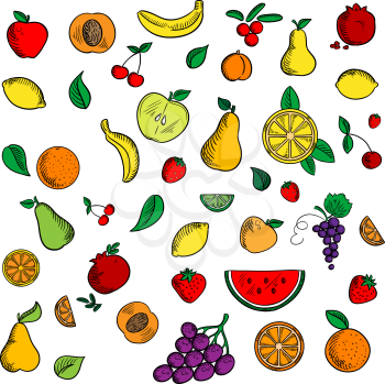 Sweet fruits and berries sketched icons with apple and banana, strawberry and pear, peach and orange, grape and lemon, pomegranate and cherry, cranberry and watermelon among mint leaves