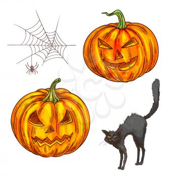 Halloween scary smiling pumpkin lantern. Isolated vector color sketch icons of black witch cat, spider web for halloween greeting and invitation cards, posters design