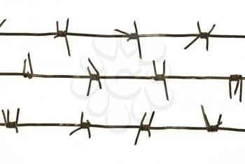 Royalty Free Photo of Barbed Wire