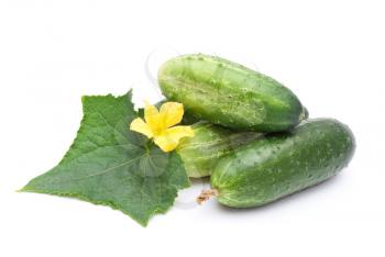 Royalty Free Photo of Cucumbers with a Flower