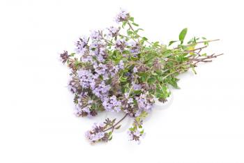 Royalty Free Photo of Herbal Medicine: Thyme