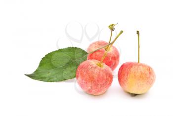 Small apples 