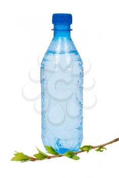 Royalty Free Photo of a Water Bottle With Branch